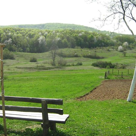 Villa Iva Rakovica Exteriör bild
