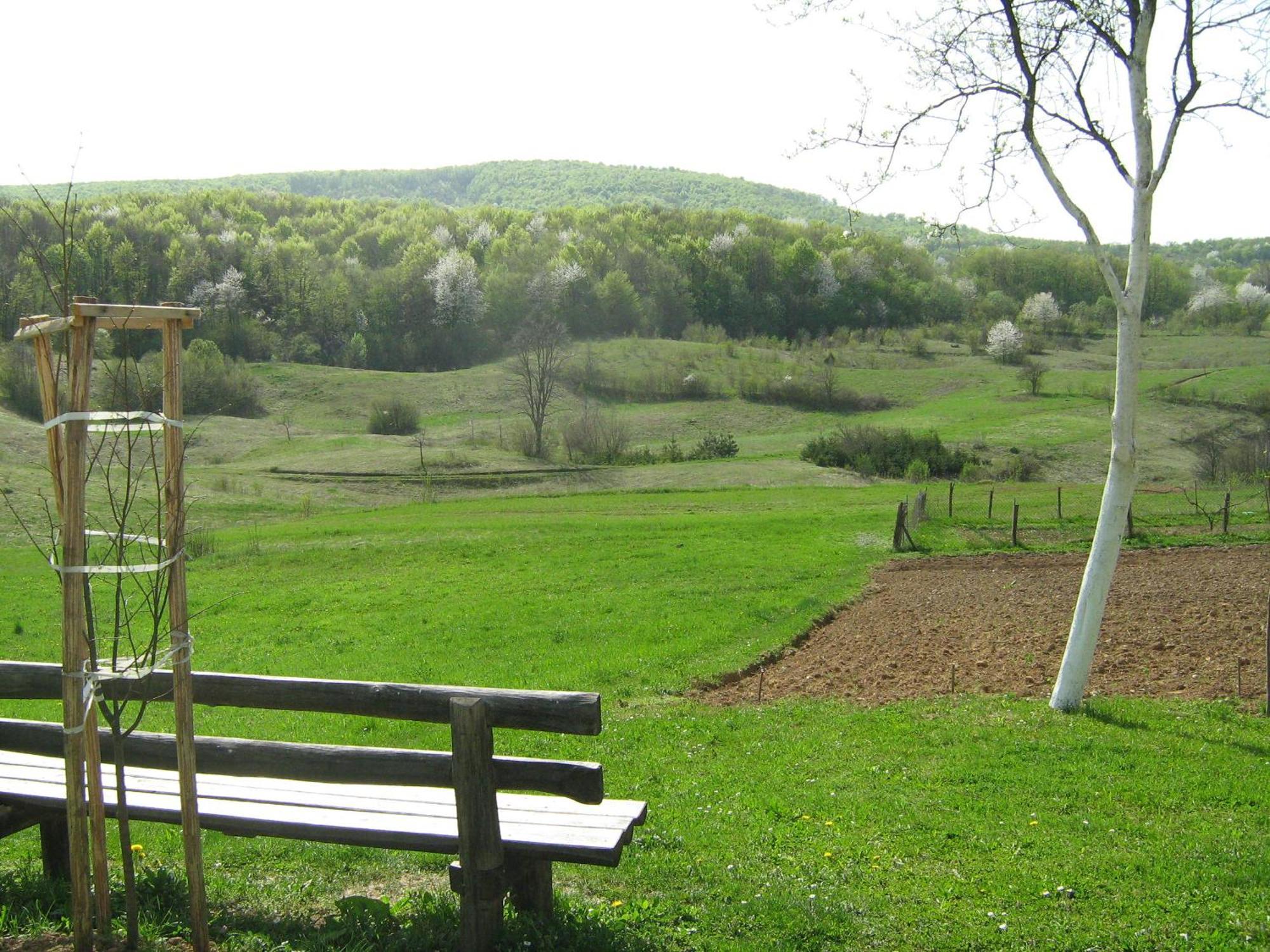 Villa Iva Rakovica Exteriör bild