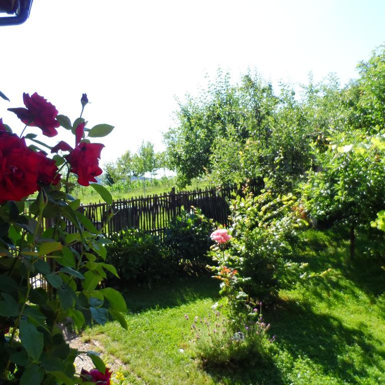Villa Iva Rakovica Exteriör bild